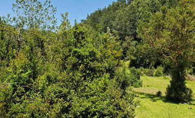 Hermoso Predio 72ha En Corral, Vista Al Mar, Bosque Nativo Y Más