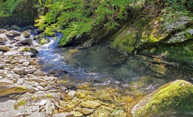 Hermoso Predio 72ha En Corral, Vista Al Mar, Bosque Nativo Y Más