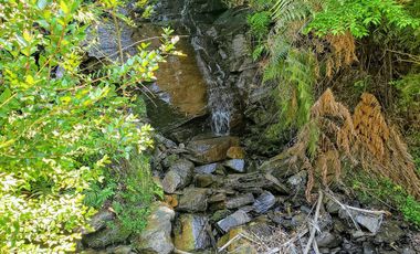 Hermoso Predio 72ha En Corral, Vista Al Mar, Bosque Nativo Y Más