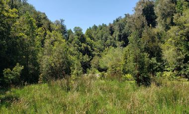 Hermoso Predio 72ha En Corral, Vista Al Mar, Bosque Nativo Y Más