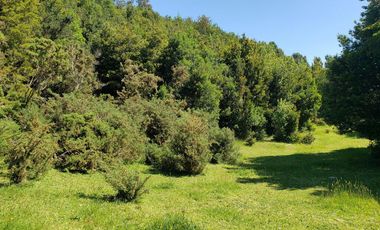 Hermoso Predio 72ha En Corral, Vista Al Mar, Bosque Nativo Y Más