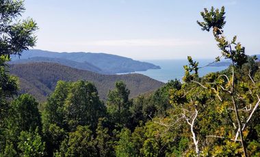 Hermoso Predio 72ha En Corral, Vista Al Mar, Bosque Nativo Y Más