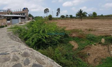 Terrenos Residenciales Venta Chacra Gonzales  Valle Zarumila - Aguas Verdes - AGUAS VERDES