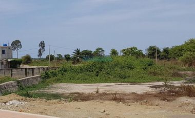 Terrenos Residenciales Venta Chacra Gonzales  Valle Zarumila - Aguas Verdes - AGUAS VERDES