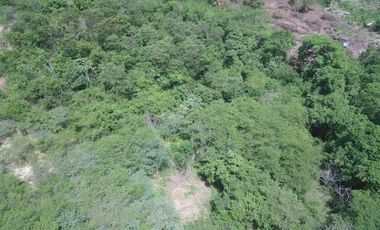 finca en venta en tubara. Cod V90618