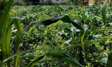Tanah Strategis Siap Bangun Cimenteng Pasir Halang Cisarua Bandung Barat