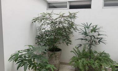 apartamento en arriendo en la arboleda. Cod A108172