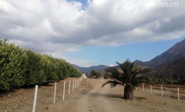 Agrícola en Venta en F-304, Sector las palmas de Ocoa. Hijuelas