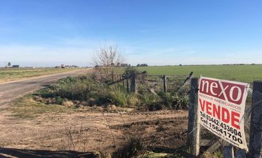 Vendo 8 has con casa, sobre Autovía Nacional 14