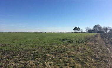 Vendo 8 has con casa, sobre Autovía Nacional 14