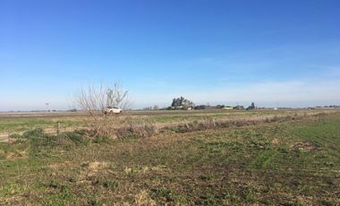 Vendo 8 has con casa, sobre Autovía Nacional 14