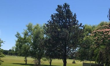 Casa en Venta en La Martona, Cañuelas, Resto de la Provincia, Buenos Aires, Argentina