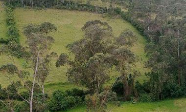 Terreno con Vista a Laguna sector Yuracrucito