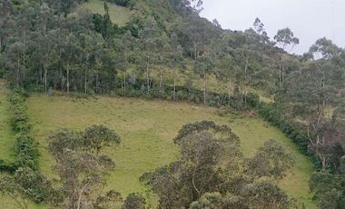 Terreno con Vista a Laguna sector Yuracrucito