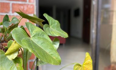 Apartamento en venta en Sabaneta.