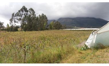 VENDO QUINTA DE 5 HECTAREAS EN ATUNTAQUI