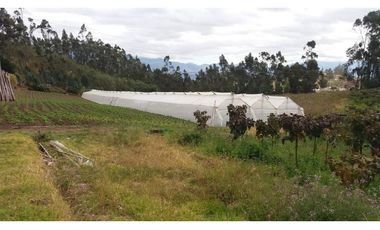 VENDO QUINTA DE 5 HECTAREAS EN ATUNTAQUI