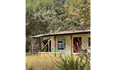 VENTA DE LOTE EN CALDAS