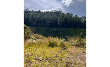 VENTA DE LOTE EN CALDAS