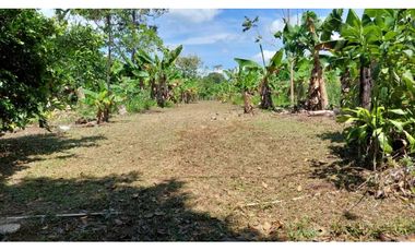 VENDO LOTE DE 6220m2 BOQUERON