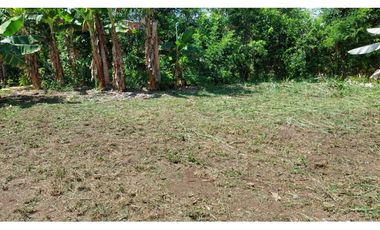 VENDO LOTE DE 6220m2 BOQUERON