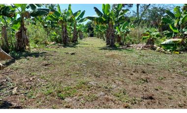 VENDO LOTE DE 6220m2 BOQUERON