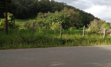 35.8 HECTAREAS DE BOSQUE ARROYOS A BORDO DE CARRETERA EN HIDALGO