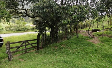 35.8 HECTAREAS DE BOSQUE ARROYOS A BORDO DE CARRETERA EN HIDALGO