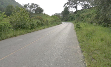 35.8 HECTAREAS DE BOSQUE ARROYOS A BORDO DE CARRETERA EN HIDALGO