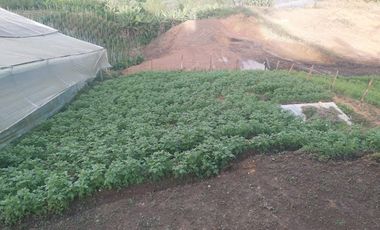VENTA de FINCAS en MARINILLA