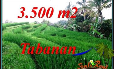 Affordable 3,500 sqm in SELEMADEG TIMUR TABANAN
