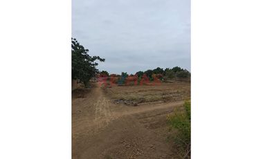 Venta De Terreno En Magdalena De Cao