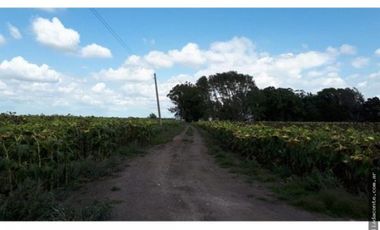 CAMPO MIXTO 103 HECTAREAS SOBRE RUTA 88 A 50 KM DE MAR DEL PLATA