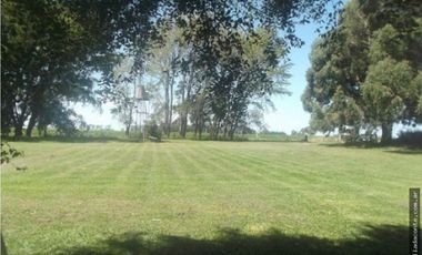 CAMPO MIXTO 103 HECTAREAS SOBRE RUTA 88 A 50 KM DE MAR DEL PLATA