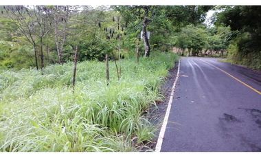Finca Nata de Aguadulce, Provincia de Cocle