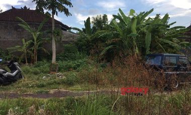DIJUAL TANAH RAYA PANGLAN KAPAL MENGWI BADUNG, BALI