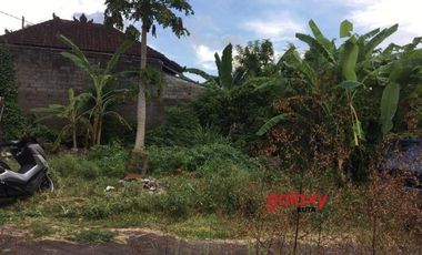DIJUAL TANAH RAYA PANGLAN KAPAL MENGWI BADUNG, BALI