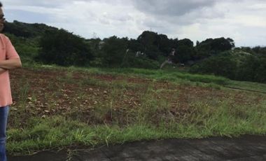 Amarilyo Crest, Phase 1, blck 14, lot 11, 195 Sqm, Lot For Sale At Taytay Rizal