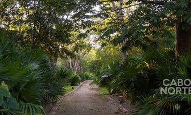 Terreno en venta para entrega inmediata en Cabo Norte, Mérida