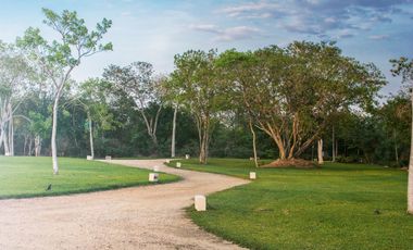 Terreno en venta para entrega inmediata en Cabo Norte, Mérida