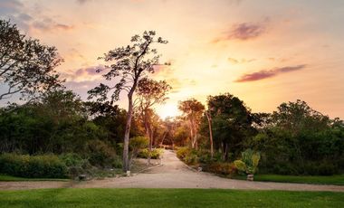 Terreno en venta para entrega inmediata en Cabo Norte, Mérida