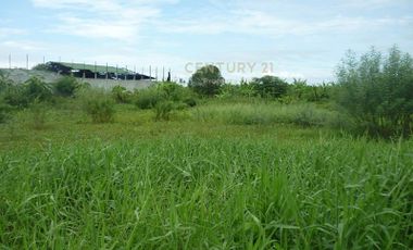 Urgent sale, vacant land 4-1-28 rai, next to the village Ratirat Sai Noi, Nonthaburi / 38-LA-63016