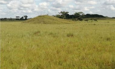 VENDO O PERMUTO FINCA VICHADA DE 1.270 HECTARIAS