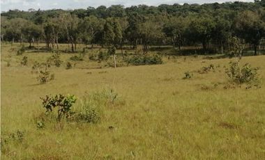 VENDO O PERMUTO FINCA VICHADA DE 1.270 HECTARIAS