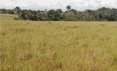 VENDO O PERMUTO FINCA VICHADA DE 1.270 HECTARIAS