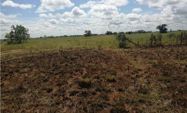 VENDO O PERMUTO FINCA VICHADA DE 1.270 HECTARIAS