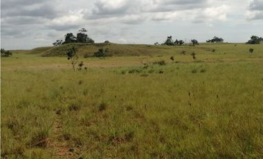 VENDO O PERMUTO FINCA VICHADA DE 1.270 HECTARIAS