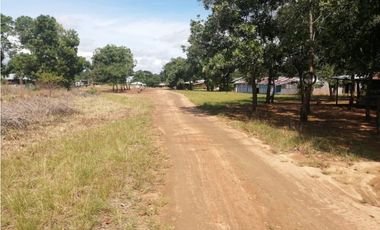 VENDO O PERMUTO FINCA VICHADA DE 1.270 HECTARIAS