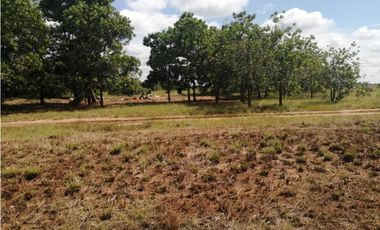 VENDO O PERMUTO FINCA VICHADA DE 1.270 HECTARIAS