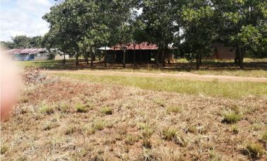 VENDO O PERMUTO FINCA VICHADA DE 1.270 HECTARIAS